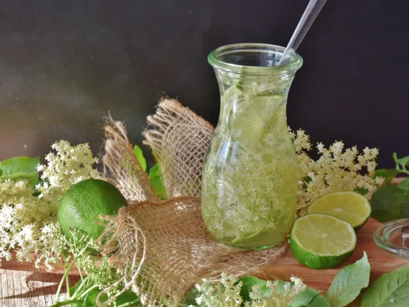 Házi bodzaszörp üvegben lime-mal és friss bodzavirággal